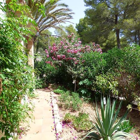 Villa Herdain Cielo de Bonaire Eksteriør bilde